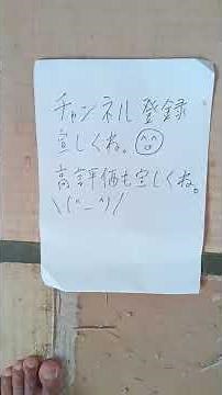 Nihongo de Asobo d Broadcast. Correct. 168 points. 2025/09/13.