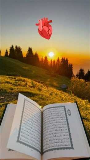 Surah-an-Nas #quran #quranictranslation #qurantilawat #qurantranslation #quranrecitation #quran #123