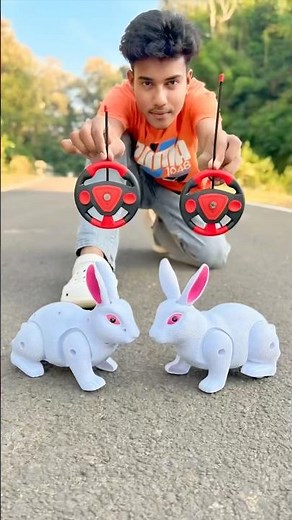 Remote Control Amar Rc 2 Ta Rabbit 🐇 Unboxing