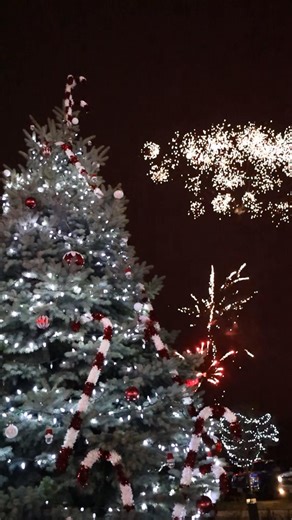 ✨ Leamington lit up for this year’s Santa Claus Parade! 🎅🎄 If you missed it, here’s a look back at the magic. A big thank you to the Leamington Chamber, the volunteers, community partners, and of course - Santa himself. We know it’s his busiest season, so we appreciate him squeezing us in! | Municipality of Leamington