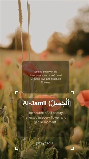 Al-Jamīl – The Most Beautiful | Find Peace in Divine Beauty 🌸 #asmaulhusna #dhikr #99namesofallah