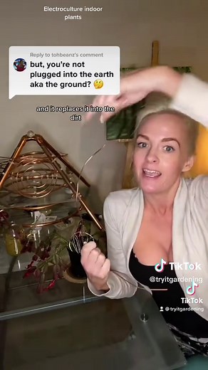 How Electroculture Benefits Indoor Plants Effectively