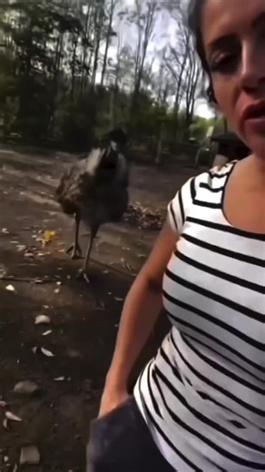 Try to see if this work, It didn’t work for me.🤷🏽‍♂️ #therushings #marriage #couples