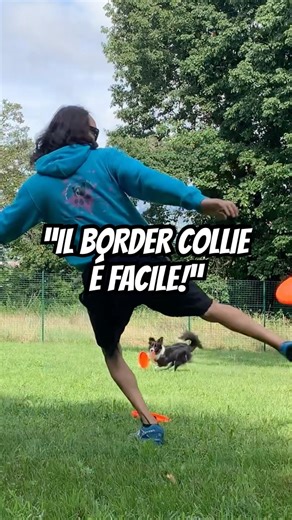 DON'T GET SCAMMED!! #bordercollie #dogtraining #dogtrainer #dogtraining