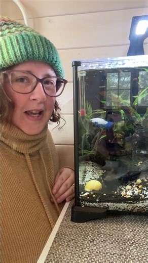 Join me LIVE in the RTC Studio at 1pm EST today (Wednesday) for our crochet and chat! #crochet