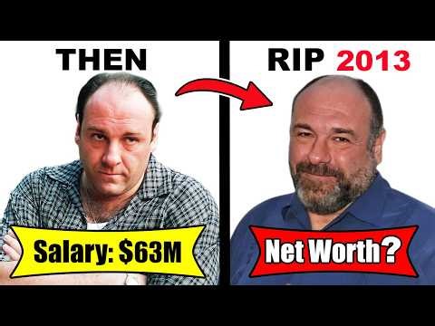 💰 The Sopranos Cast Salary & Net Worth | Then and Now