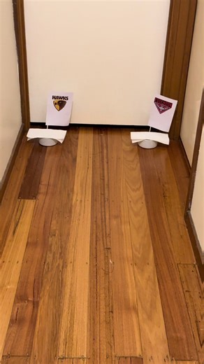 Hawks vs. Essendon: Key Tips for Tomorrow's Clash