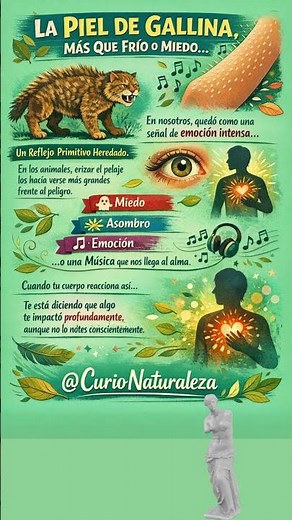 ¿Por qué se da la Piel de Gallina en tu Cuerpo? #pieldegallina #curiosidades
