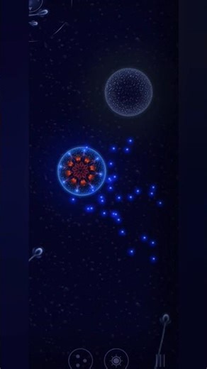 Here is an Amoeba moving in Timelapseunder the #microscope.#microbe#pondlife#science#protozoa