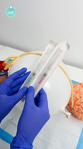 258K views · 12K reactions | A new way to practice IV insertion  #nursingskills #clinicalskills #IVinsertion #nurseinthemaking #nursesofIG #nursingschool #nursingstudent | Nurse In The Making | Facebook