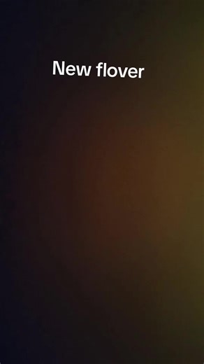 Bob the builder🍋🍋 (@bob.the.builder859)’s videos with original sound - Mr. Fish