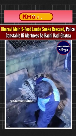 Gallinews India on Instagram: "Dharavi Mein 9-Foot Lamba Snake Rescued, Police Constable Ki Alertness Se Bachi Badi Ghatna #News #MumbaiNews #Newsupdate #Todaynews #Gallinews #Dailynews #BreakingNews #Mumbai ⚠️ * Disclaimer* : This video contains news coverage of sensitive topics including crime, politics, child safety, animal welfare, abuse, and financial scams. *Viewer discretion is strongly advised* . *Gallinews does not promote or glorify violence, hate, abuse, or unlawful behavior* This con