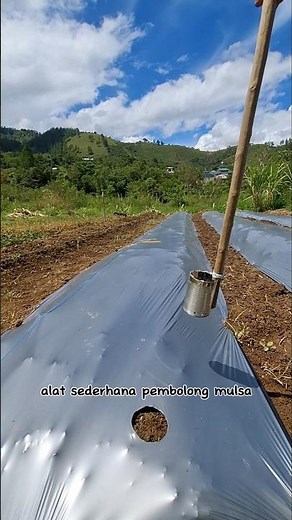 How to make a mulch hole puncher