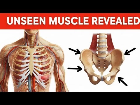 The Neglected Muscle: Your Body’s True Foundation