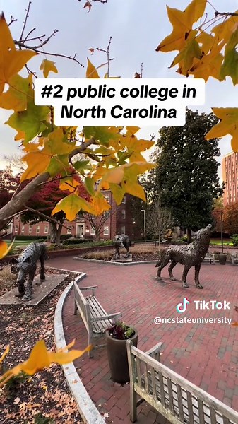 NC State University: Home of the Wolfpack