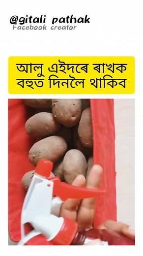 এতিয়া আৰু আলু বেয়া নহয় 😯 #PotatoStorageTips #KitchenHacks #FoodPreservation #AssameseTips #HomeRemedies #VegetableStorage #AlooTips #SaveVegetables #SmartKitchen #EasyStorageIdeas | Gitali Bora Pathak