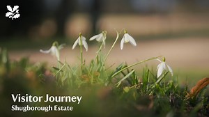 We are committed to making sure that Shugborough Estate is equally accessible for all our visitors. Whilst the historic spaces and landscape can present challenges to accessibility for all, we are taking steps to make sure that as many people as possible can access the estate and its story. We hope this video and webpage will help support visitors in their visit to Shugborough Estate by providing information on how to access the different areas of the estate, and to make the most of your visit. 