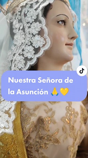 Vestuario y Disfraces de la Virgen de la Asunción