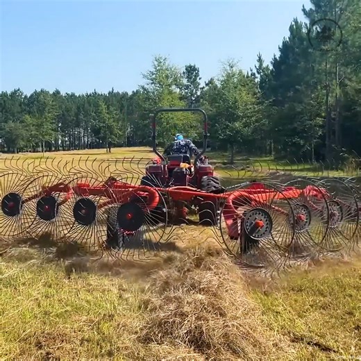 The SECRET to Perfect Hay #HayMaking #FarmLifeDaily #GrowingHay #HomesteadFarming | Piney Grove Homestead and Mini Farm