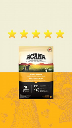 Happy tails start with ACANA™! 🐶 Thoughtfully made with wholesome ingredients, our Puppy Recipe is designed to nurture your puppy’s development every step of the way. 🐾 | ACANA Pet Foods
