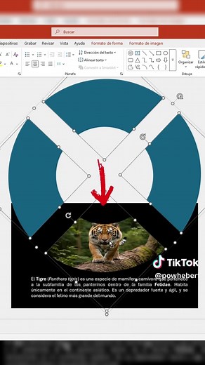 Tutorial de PowerPoint: Presentaciones Fáciles y Efectivas