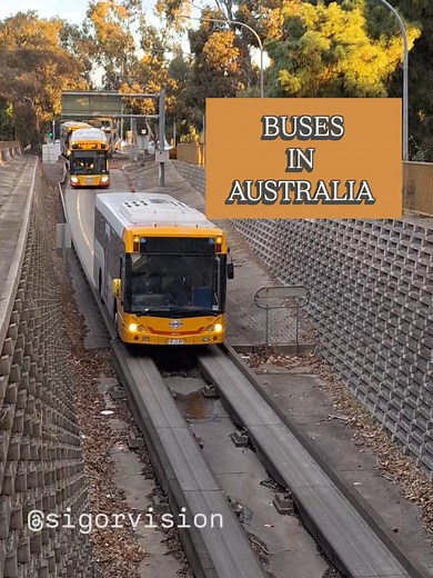 Adelaide Bus O-Bahn: Exploring the Iconic Transit System
