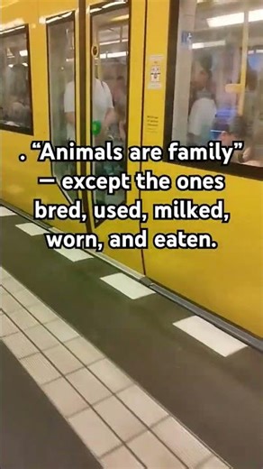 . “Animals are family” — except the ones bred, used, milked, worn, and eaten.
