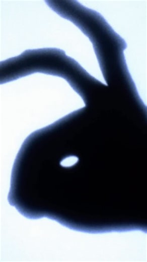 The Gremlins Museum on Instagram: "The Gremlins 2 film break scene, one of the greatest movie gags of all time….especially if was opening night and you didn’t know it was coming! . . . #gremlins2 #moviescenes #90smovies"