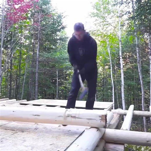 Constructing a log cabin the walls are rising to some level #survival #shelter #wildlife #outdoors