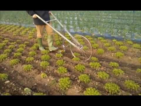 Azada de rueda - Urbaplant