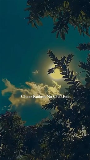 Tere Sang-Sang Reh Ke Main Rang Jaaun Tere Rang 💞 Tere Bin