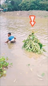 #funny #memes #meme #funnymemes #comedy #lol #dankmemes #memesdaily #fun #love #humor #follow #funnyvideos #instagram #like #viral #instagood #dank #lmao #funnycomedy #shortvideo #funnyshorts #shorts #short | Cecilia Snow | Facebook