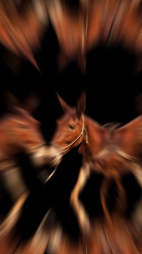 Understanding Mules: The Patient Equine Hybrid