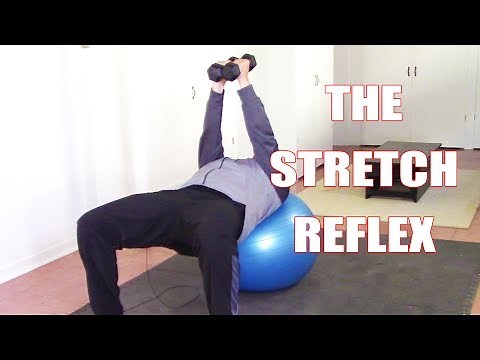 Using the Stretch Reflex