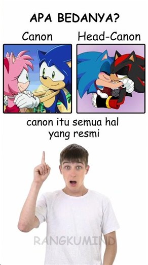 What’s the Difference Between Canon and Headcanon?