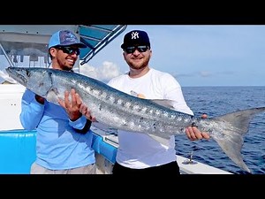 Giant Barracudas Crushing Topwater Baits with Seal Skin Covers