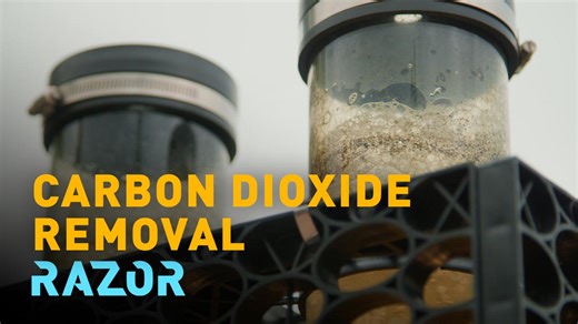 RAZOR: How algae can capture CO2 from the atmosphere and fight climate change