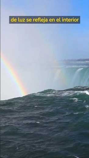 ¿Cómo se forman los arcoíris? #arcoiris #naturaleza #fenomeno #belleza #youtubeshorts #shorts