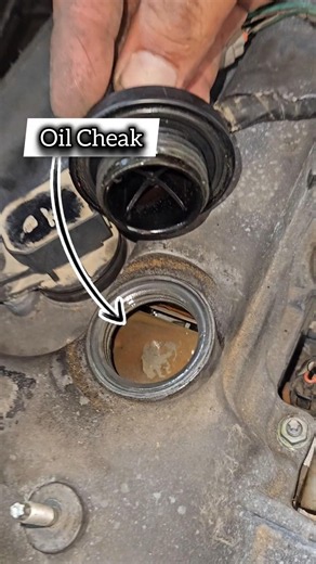 engine rebuilt cheak the oil. #engine #oil #rebuild