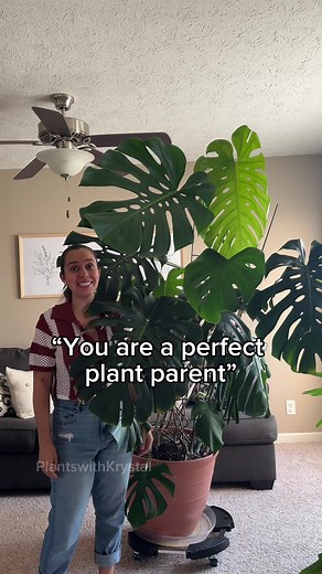 If you’re not having fun with your plants, are you really doing this right? Not all of my plants are thriving all the time. Some days I’m completely overwhelmed with the amount of care I have to provide for my plants. But gosh dang it, I love it. I have so much fun here. I talk about the mistakes, I talk about the successes. No one is a perfect plant parent. If and when you fail at something. Just know you’re not alone. That’s the beauty of plants, we can always buy another one and try again. #p