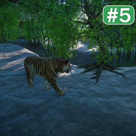 How to Make Money in Planet Zoo 2021!