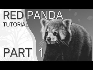 How to Draw a Red Panda in Scratchboard - Part 1: Eyes & Facial Features 🐾