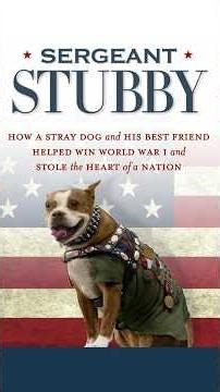 They Called Him the Most Decorated War Dog #militaryheroes #shorts