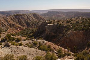 Extinct 'Eagle Lizard' Found in Texas Canyon