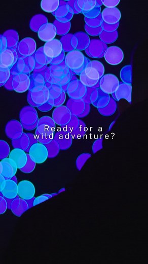Something extraordinary is about to take flight… ✨ The wait is over. WILD is here. Are you ready to experience the skies like never before? 🌌🐾 A brand-new drone light show by @say.yuup and @celestial_drones 🎟️ Tickets now live wilddroneshow.com #DroneShow #DroneLightShow #SkyArt #ExperienceLocal #WhatsOnUK | WILD: The Drone Light Show