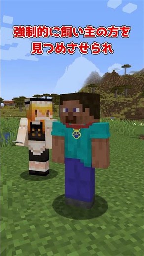 あなたはペットになりました【MOD紹介】