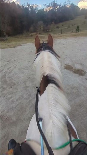 food for the worms to eat 🥹