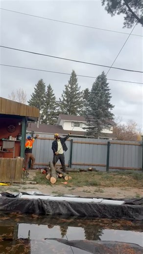 North Shore Tree Service on Reels