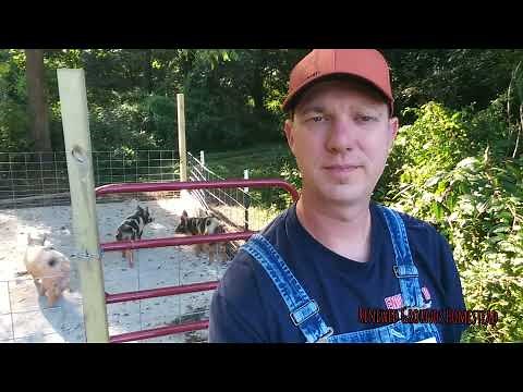 How to build a proper pig pen
