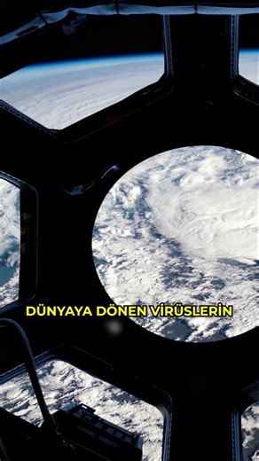 Super Viruses from Space: How Did They Destroy Bacteria?